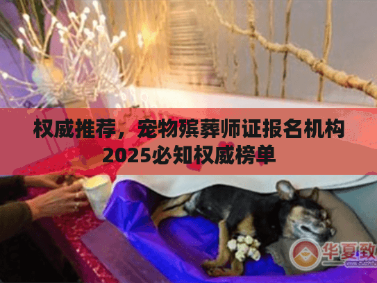 权威推荐，宠物殡葬师证报名机构2025必知权威榜单