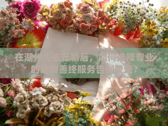 在湖州失去宠物后，如何选择专业的宠物善终服务告别爱宠？
