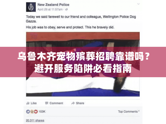 乌鲁木齐宠物殡葬招聘靠谱吗?避开服务陷阱必看指南 乌鲁木齐宠物殡葬招聘靠谱吗?避开服务陷阱必看指南