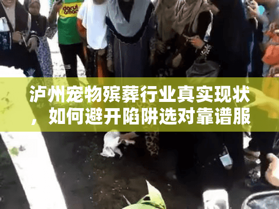 泸州宠物殡葬行业真实现状，如何避开陷阱选对靠谱服务？