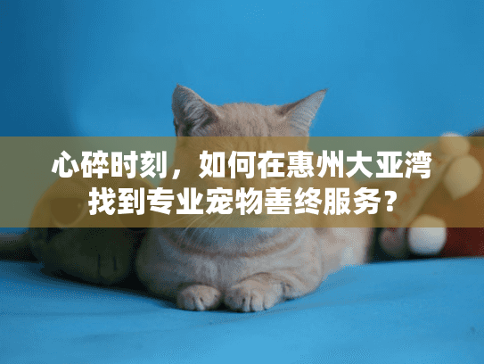 心碎时刻，如何在惠州大亚湾找到专业宠物善终服务？