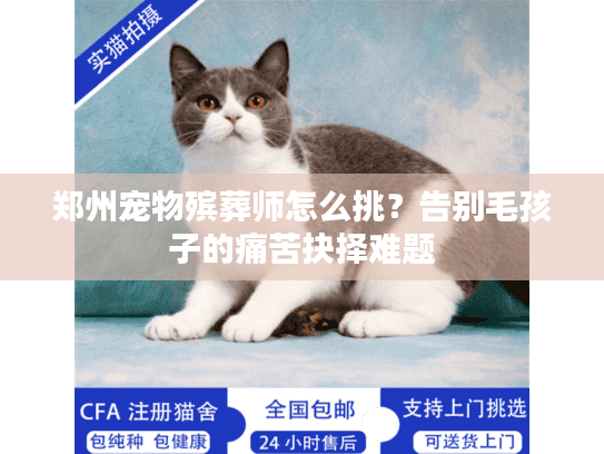 郑州宠物殡葬师怎么挑？告别毛孩子的痛苦抉择难题