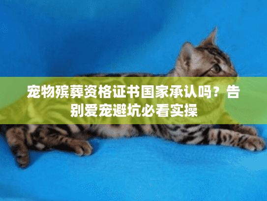 宠物殡葬资格证书国家承认吗？告别爱宠避坑必看实操