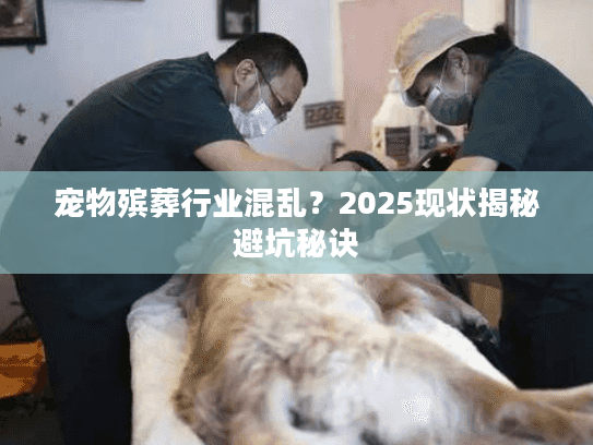 宠物殡葬行业混乱？2025现状揭秘避坑秘诀