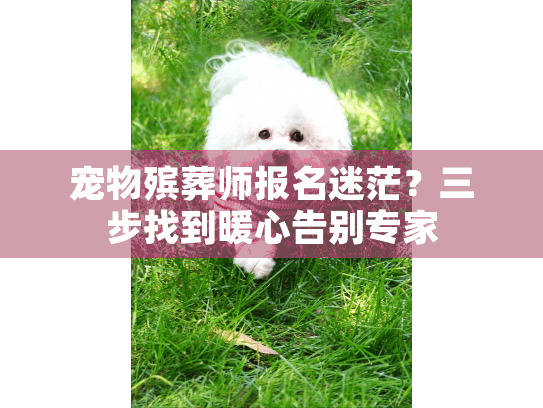 宠物殡葬师报名迷茫？三步找到暖心告别专家