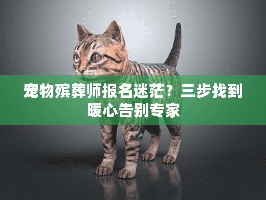 宠物殡葬师报名迷茫？三步找到暖心告别专家