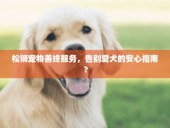 松狮宠物善终服务，告别爱犬的安心指南？