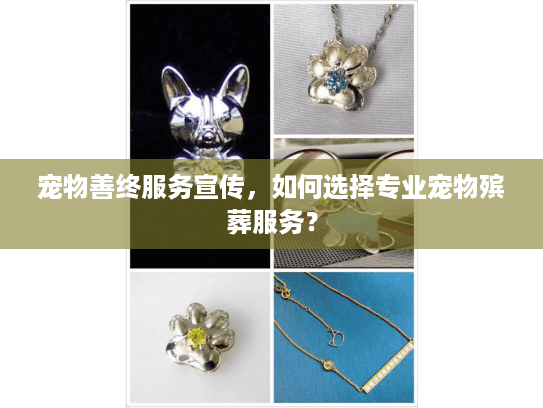 宠物善终服务宣传，如何选择专业宠物殡葬服务？