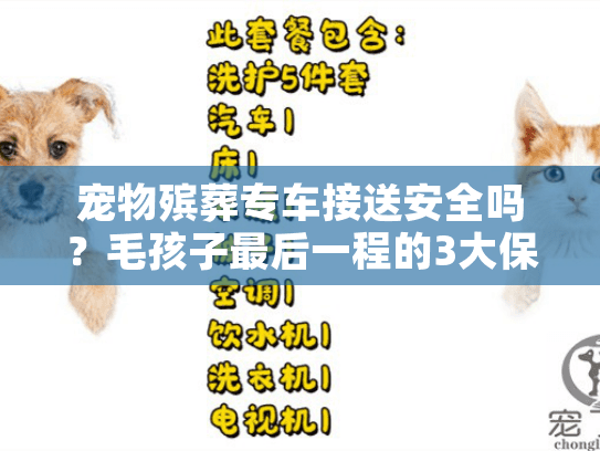 宠物殡葬专车接送安全吗？毛孩子最后一程的3大保障措施