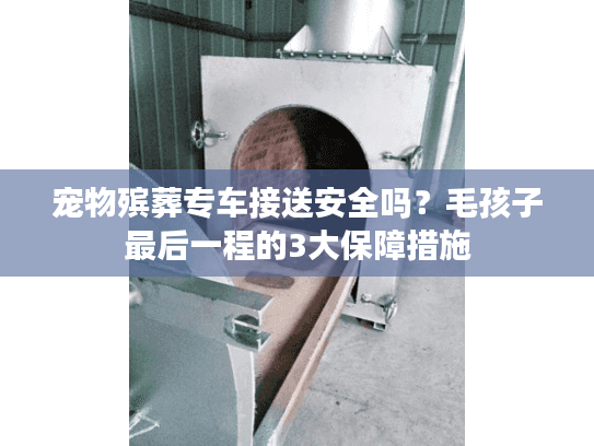 宠物殡葬专车接送安全吗？毛孩子最后一程的3大保障措施