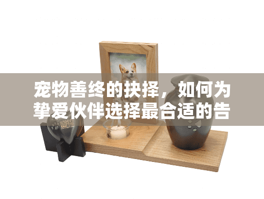 宠物善终的抉择，如何为挚爱伙伴选择最合适的告别方式？