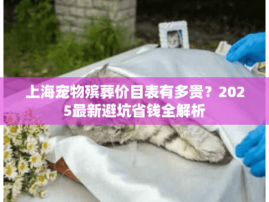 上海宠物殡葬价目表有多贵？2025最新避坑省钱全解析