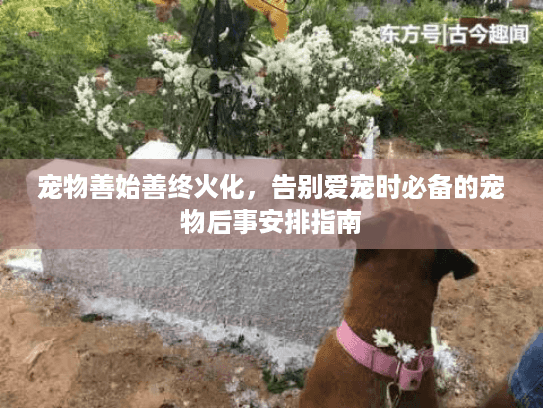 宠物善始善终火化，告别爱宠时必备的宠物后事安排指南