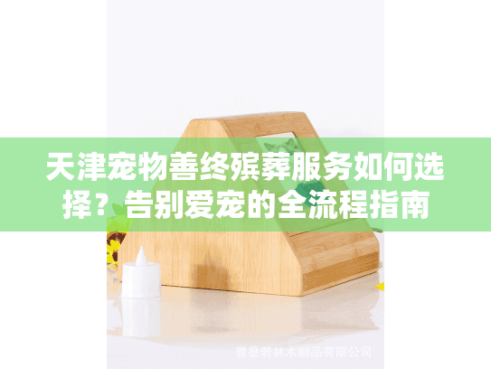 天津宠物善终殡葬服务如何选择？告别爱宠的全流程指南