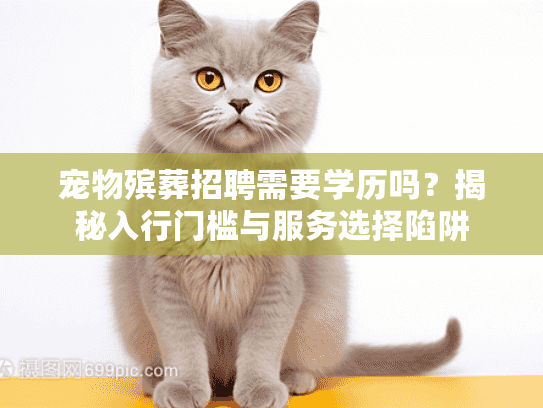 宠物殡葬招聘需要学历吗？揭秘入行门槛与服务选择陷阱