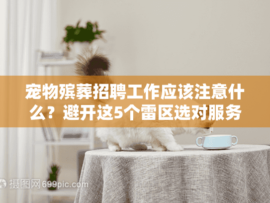 宠物殡葬招聘工作应该注意什么?避开这5个雷区选对服务机构 宠物殡葬招聘工作应该注意什么?避开这5个雷区选对服务机构