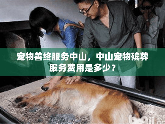 宠物善终服务中山，中山宠物殡葬服务费用是多少？