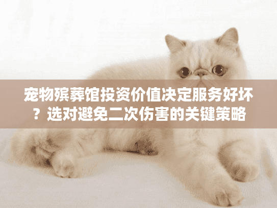 宠物殡葬馆投资价值决定服务好坏？选对避免二次伤害的关键策略