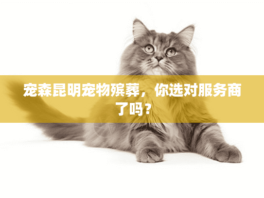 宠森昆明宠物殡葬，你选对服务商了吗？