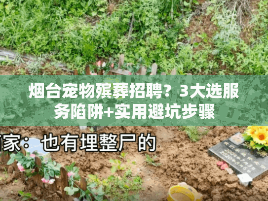 烟台宠物殡葬招聘?3大选服务陷阱+实用避坑步骤 烟台宠物殡葬招聘?3大选服务陷阱+实用避坑步骤