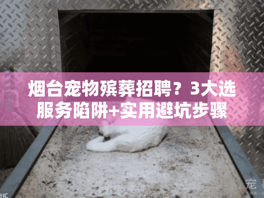 烟台宠物殡葬招聘?3大选服务陷阱+实用避坑步骤 烟台宠物殡葬招聘?3大选服务陷阱+实用避坑步骤