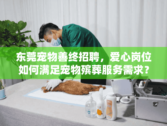 东莞宠物善终招聘，爱心岗位如何满足宠物殡葬服务需求？