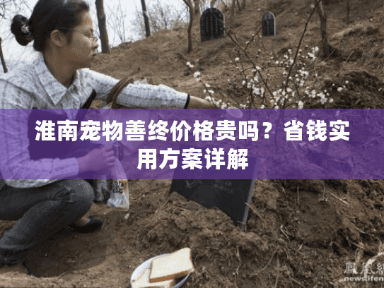 淮南宠物善终价格贵吗？省钱实用方案详解