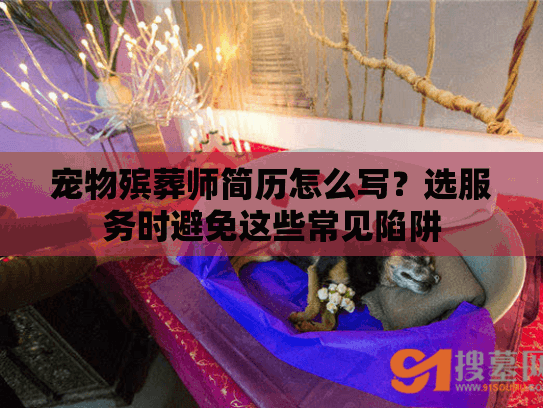 宠物殡葬师简历怎么写？选服务时避免这些常见陷阱