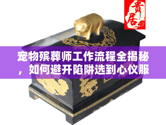 宠物殡葬师工作流程全揭秘，如何避开陷阱选到心仪服务？