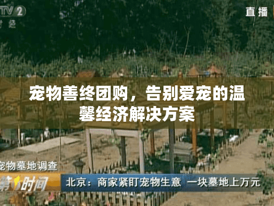 宠物善终团购，告别爱宠的温馨经济解决方案