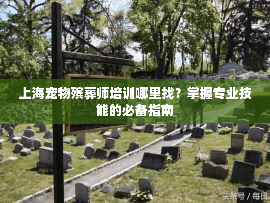 上海宠物殡葬师培训哪里找？掌握专业技能的必备指南