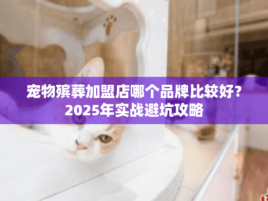 宠物殡葬加盟店哪个品牌比较好？2025年实战避坑攻略