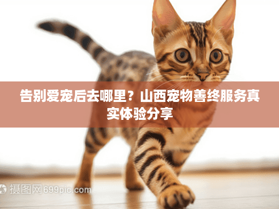 告别爱宠后去哪里？山西宠物善终服务真实体验分享