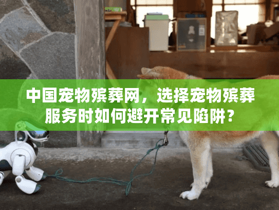 中国宠物殡葬网，选择宠物殡葬服务时如何避开常见陷阱？