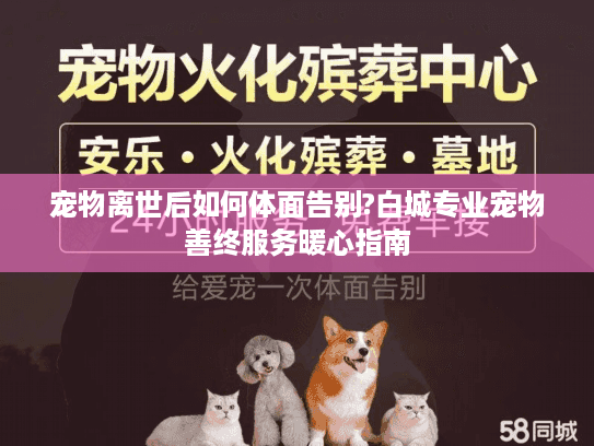 宠物离世后如何体面告别?白城专业宠物善终服务暖心指南