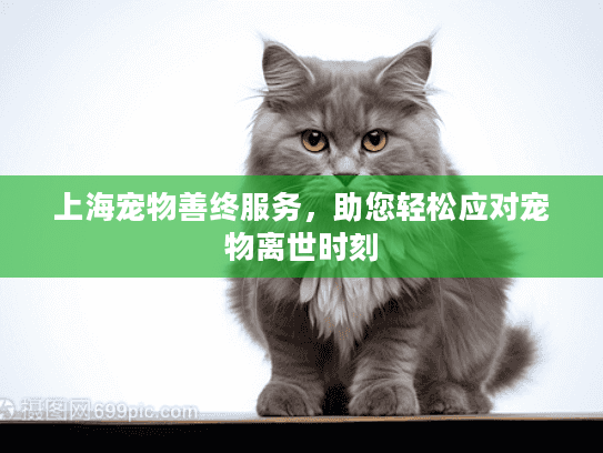 上海宠物善终服务，助您轻松应对宠物离世时刻