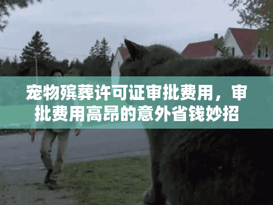 宠物殡葬许可证审批费用，审批费用高昂的意外省钱妙招