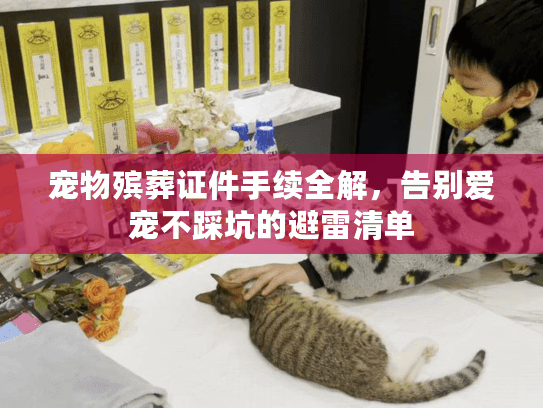 宠物殡葬证件手续全解，告别爱宠不踩坑的避雷清单