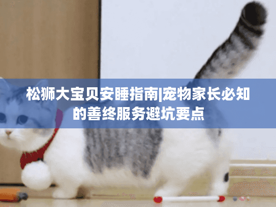 松狮大宝贝安睡指南|宠物家长必知的善终服务避坑要点
