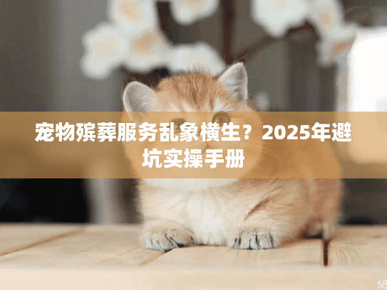 宠物殡葬服务乱象横生？2025年避坑实操手册