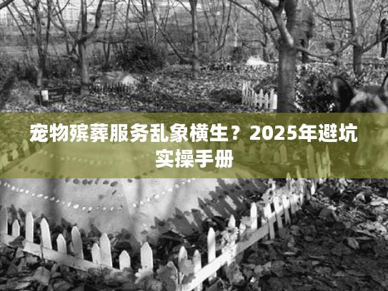 宠物殡葬服务乱象横生？2025年避坑实操手册