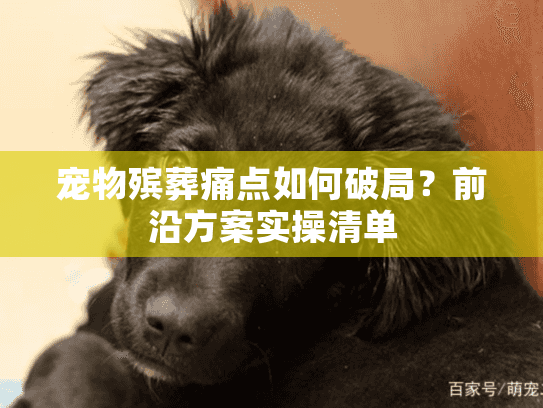 宠物殡葬痛点如何破局？前沿方案实操清单