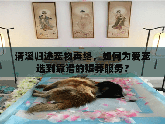 清溪归途宠物善终，如何为爱宠选到靠谱的殡葬服务？