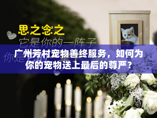 广州芳村宠物善终服务，如何为你的宠物送上最后的尊严？