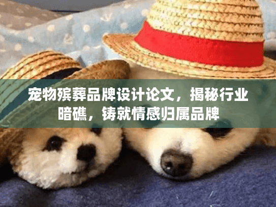宠物殡葬品牌设计论文，揭秘行业暗礁，铸就情感归属品牌