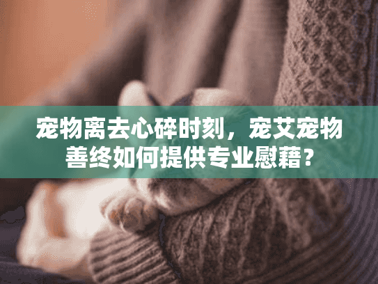 宠物离去心碎时刻，宠艾宠物善终如何提供专业慰藉？