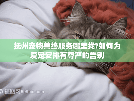抚州宠物善终服务哪里找?如何为爱宠安排有尊严的告别
