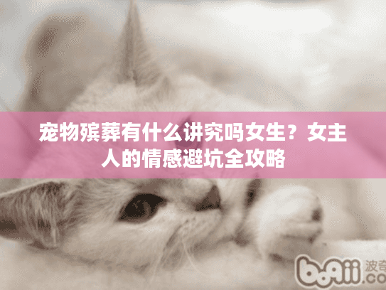 宠物殡葬有什么讲究吗女生?女主人的情感避坑全攻略 宠物殡葬有什么讲究吗女生?女主人的情感避坑全攻略