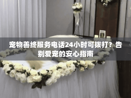 宠物善终服务电话24小时可拨打？告别爱宠的安心指南