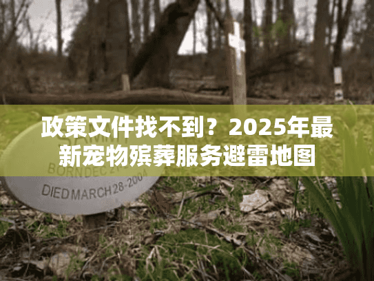 政策文件找不到？2025年最新宠物殡葬服务避雷地图